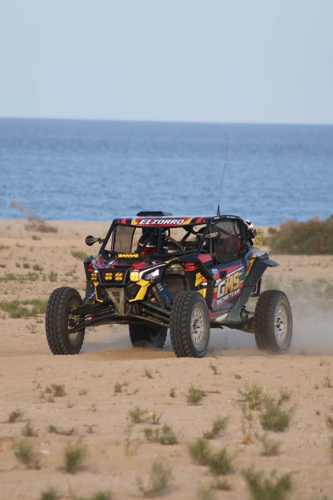 Zorro 3914